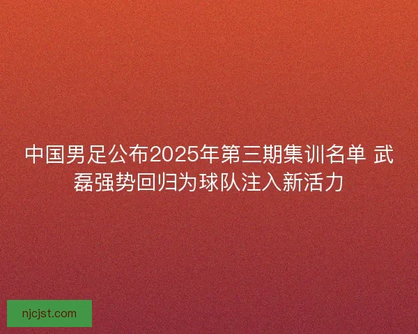 中国男足公布2025年第三期集训名单 武磊强势回归为球队注入新活力