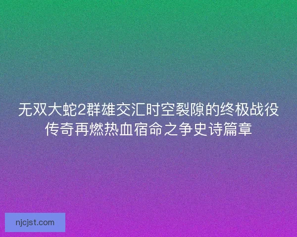 无双大蛇2群雄交汇时空裂隙的终极战役传奇再燃热血宿命之争史诗篇章