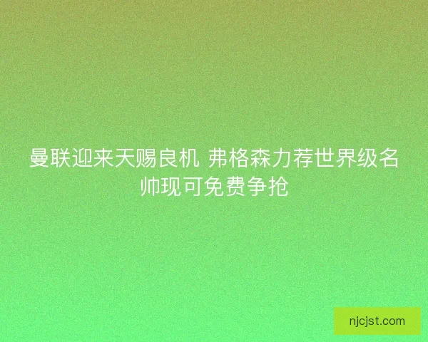 曼联迎来天赐良机 弗格森力荐世界级名帅现可免费争抢
