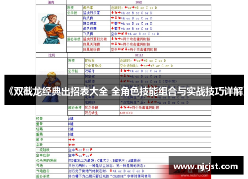 《双截龙经典出招表大全 全角色技能组合与实战技巧详解》